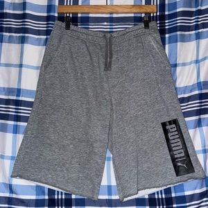 Puma Shorts Gray Sz S